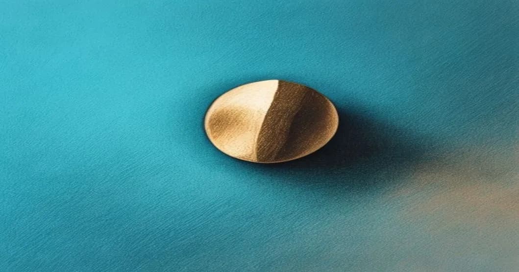 پوشش صفحه اپلیکیشن Echologue با عنوان «دفتر خاطرات صوتی خصوصی» و دکمه شروع.