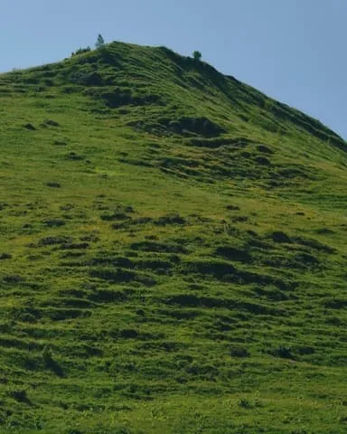 زیرساخت هوش مصنوعی برای عاملهای فیزیکی Mireye