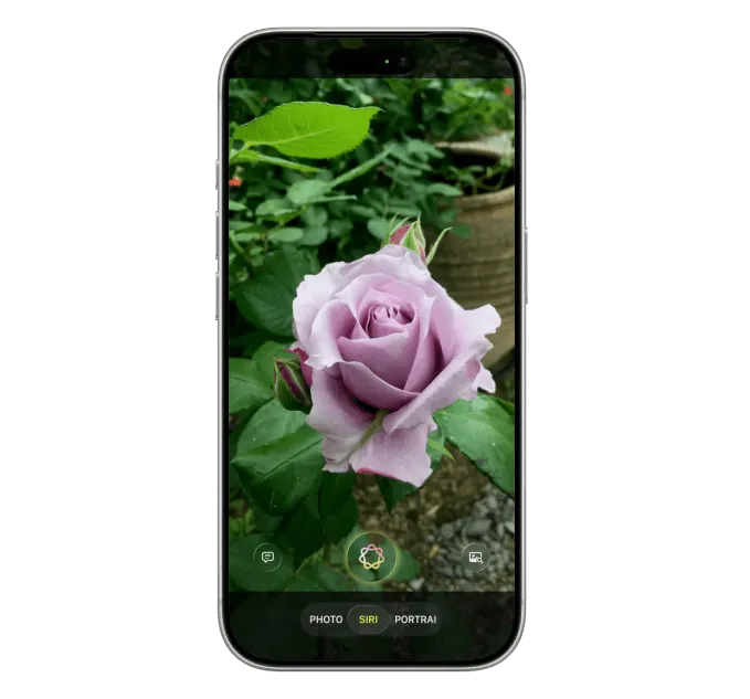 تصویری از اپلیکیشن جدید سیری و برنامه‌های اپل برای رقابت با ChatGPT