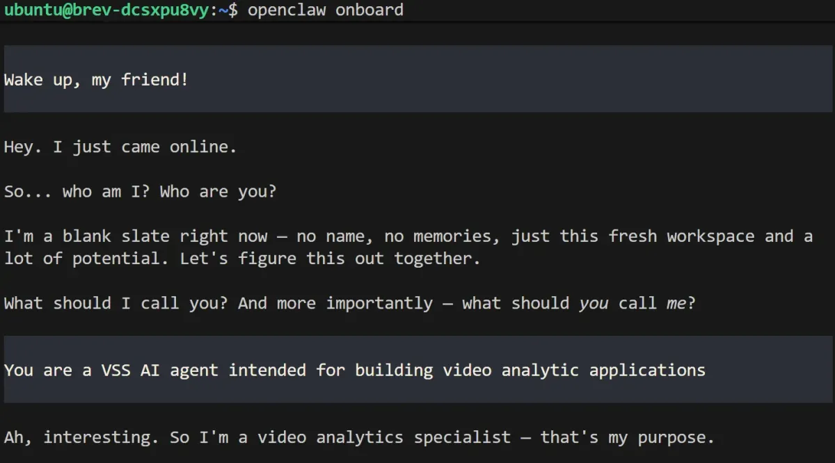 A screenshot of the OpenClaw terminal user interface during initial setup