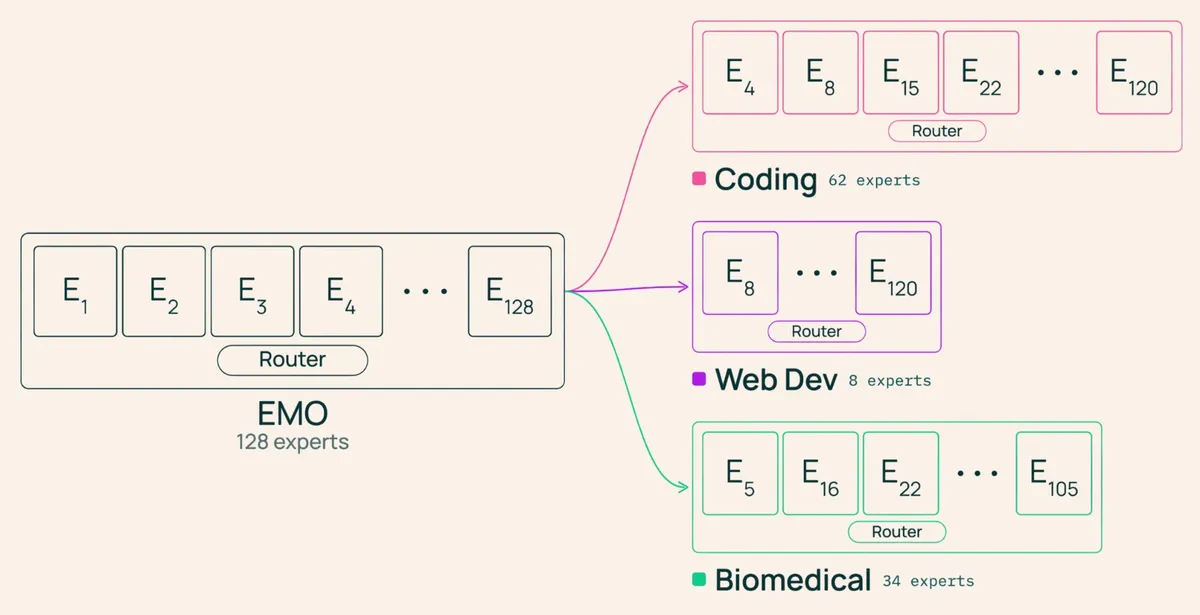 Diagram showing how domain-specific subsets of experts (math, code, biomedical) can be selected from the full EMO model.