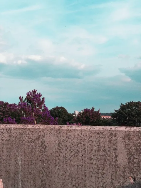 «بگذر، هر طور شده بسازش» - تصویری از دستنوشتهای جسورانه روی کاغذ کاهی.