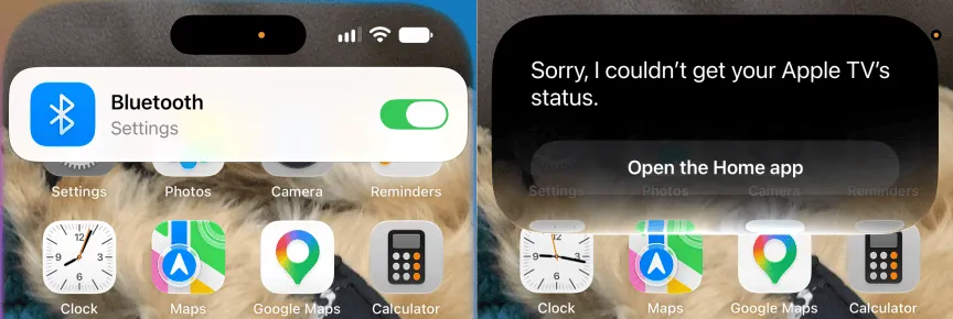فکر کردم سیری جدید AI در iOS 27 دارم، تا اینکه در تنظیمات پنهانش را پیدا کردم - ZDNET