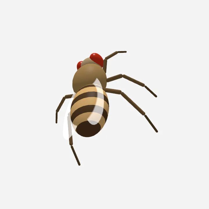 مگس میوه سه‌بعدی روی دسکتاپ macOS، با شبیه‌سازی زنده شبکه عصبی واقعی FlyWire.