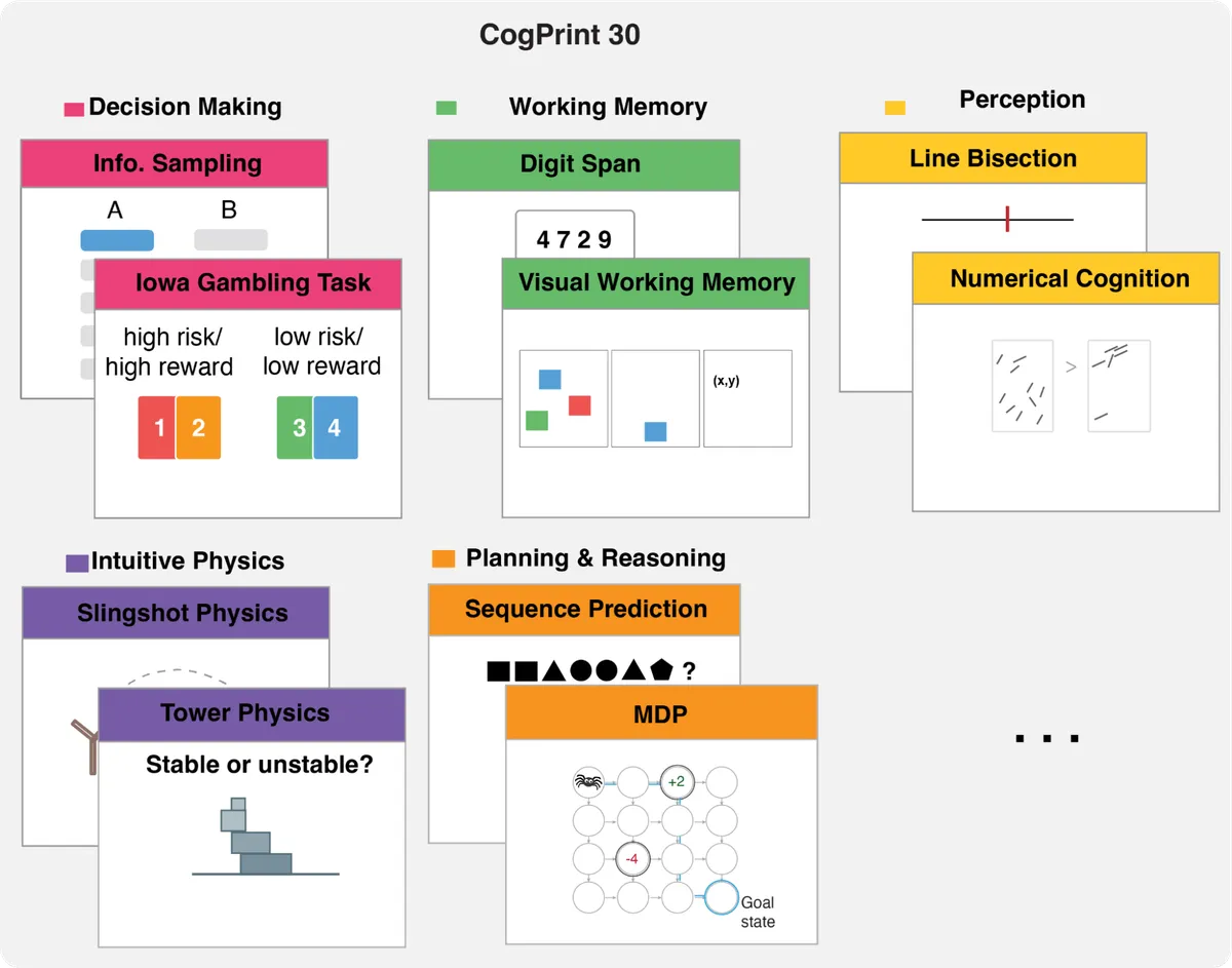 CogCAPTCHA30 summary