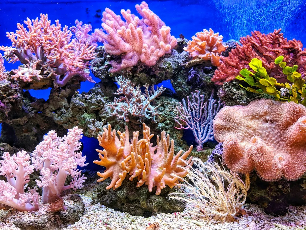 سیستم یادگیری فعال حفظ حریم خصوصی برای پایش پایدار آبزیپروری در شرایط کمبود شدید داده
