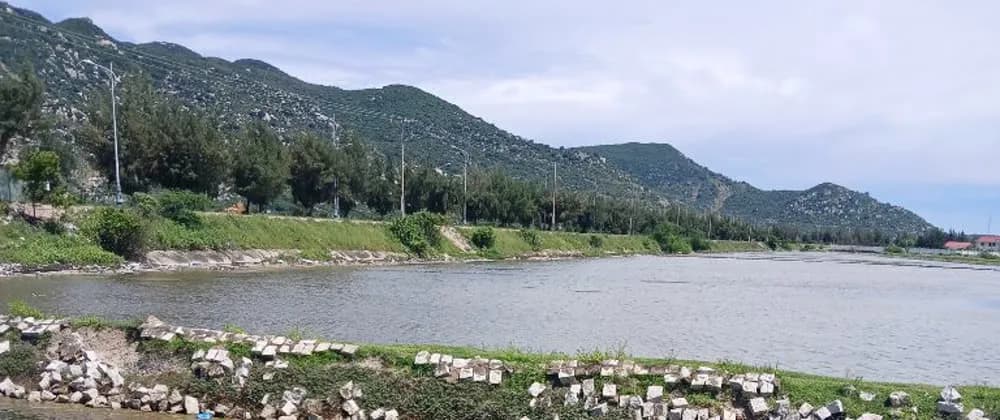 لپتاپم شرایط جایزه را میخواند، منم راه میرم برای ناهار خریدن.